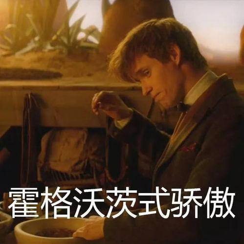 小麦带你吃麻瓜 哈迷,哈迷的奇幻之旅 第3张 小麦带你吃麻瓜 哈迷,哈迷的奇幻之旅 第3张